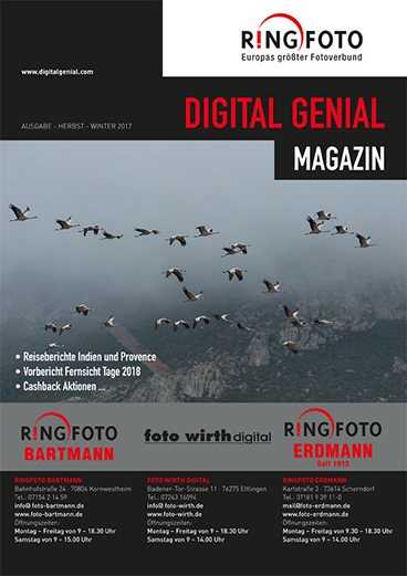 Digital Genial Magazin 2014